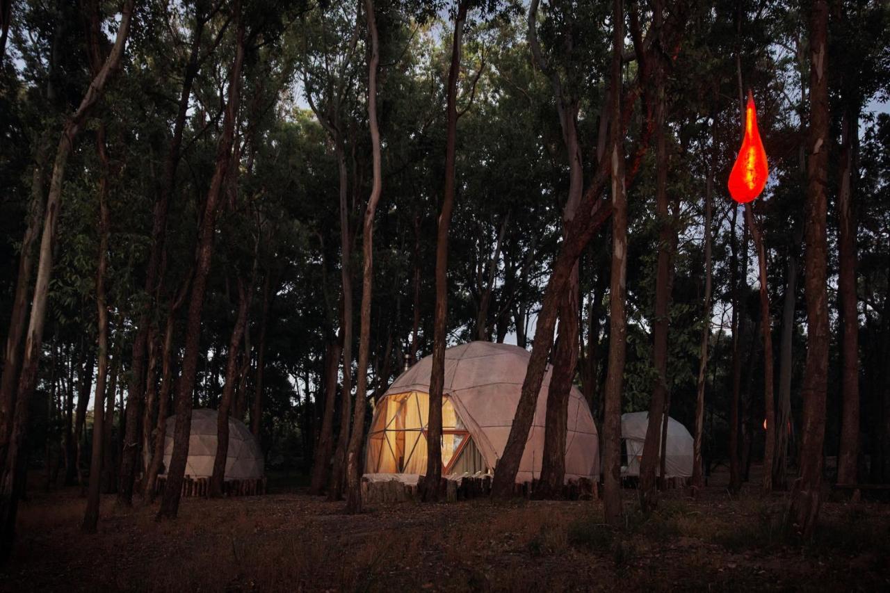 Big Bang Nature Inn